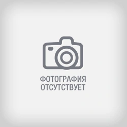 Defect Detection and Restoration Services - ESO
