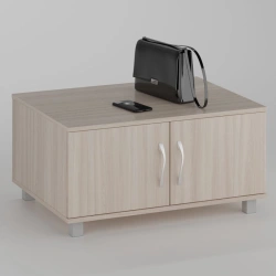 Work Desk Side Cabinet with 2 Doors