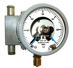 Pressure Gauges DM5010Cg0Ex - Explosion-Proof Indicator