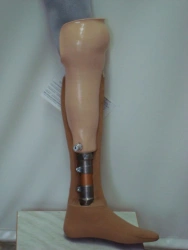 Modular Lower Leg Prosthesis for All Age Groups - PN3-01-OK