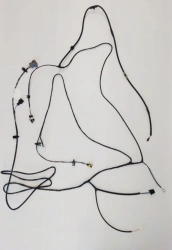 Wiring Harness for Automotive Equipment GAZ 185 (2217.3724 185)