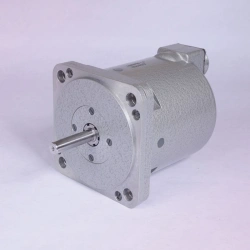 Stepper Electric Motor 4ДВШ100-1.6