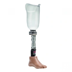 Modular Lower Leg Prosthesis for Developmental Disorders