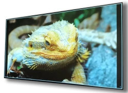 Indoor LED Display Screen LT LED P7.62 244x244/1024 mi w3