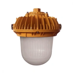 LED Luminaire for Indoor and Outdoor Use - LPB-451-A-Ex