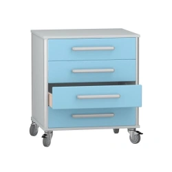 Mobile Medical Cabinet for Storage, Model DM-3-107-08.K2.F3