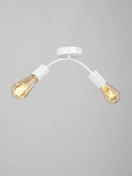 General Purpose Stationary Light Fixture V4989-0/2PL