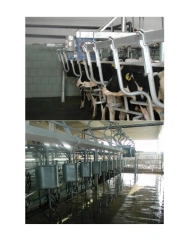 Classic Milking Parlors "Christmas Tree" AIS-SCR Series