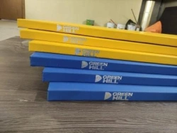 Professional Tatami Mats IJF ST01220 for Martial Arts