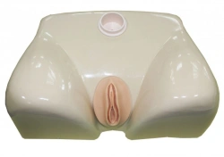Female Urinary Catheterization Simulator Model MU0214