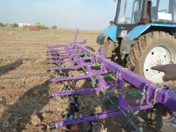 Inter-row Cultivator for Corn and Sunflower KUM-5.6