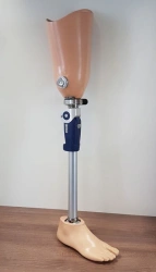 Modular Hip Prosthesis for Enhanced Mobility