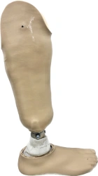 Modular Shin Prosthesis for All Ages, PN3-92
