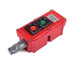 Explosion-Proof Control Station PVK(P)-25