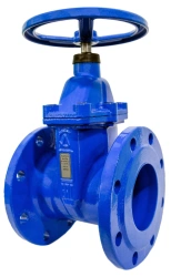 Rubber-Seated Cast Iron Gate Valve 30ch39r SL14