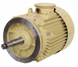 Three-Phase Asynchronous Motors DMN250, DMNA250 (90, 110 kW)