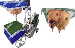 Cow Milking Skills Training Simulator for Large Cattle