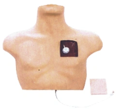 Venous Intervention Training Simulator Model L61