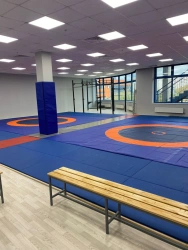 Wrestling Mat with PVC Coating for Training and Competitions