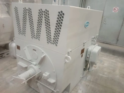 Asynchronous Three-Phase Electric Motor 2ADO1 500-6000-6U1M for Primorskaya GRES Block No. 3