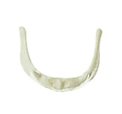 Enlarged Model of the Hyoid Bone for Anatomy Study, 11122