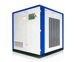 Oil-Filled Screw Air Compressor VKM-160+