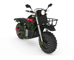 Electric Motorcycle - Eco-Friendly Commuter Model