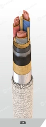 Power Cable with Copper Conductors, Paper Insulation, 6-10 kV, Type C