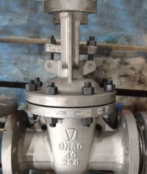 Steel Wedge Gate Valve with Rising Stem for PN 4.0 MPa DN 80