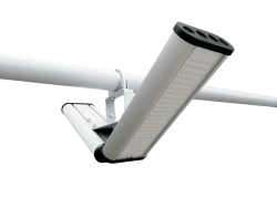 Street Light "Galochka ST", 96W