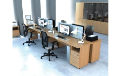Wooden Office Shelves EASY ONE Collection