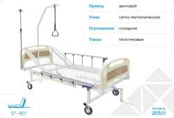Multifunctional Medical Bed 2V301