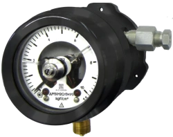 Signal Pressure Gauge DM5012C with Ex-Proof Marking 1Ex db IIB T5 Gb