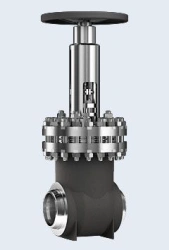 Wedge Gate Valve TD13075 DN 200 for Nuclear Plants