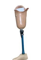 Bathing Prosthesis for Hip Rehabilitation