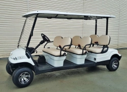 Concordia GK6 Passenger Electric Vehicle