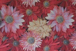 Upholstery Jacquard Fabric with Trademark UUU Art. 649200