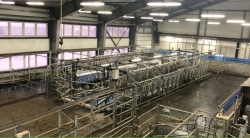 Parallel Milking System for Livestock - SCR Technology