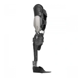 Ankle and Knee Joint Orthosis with Microprocessor Control