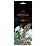 VISTA-ARTISTA INTENSE VICP-12 Colored Pencils Set of 12