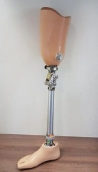 Therapeutic Training Hip Prosthesis