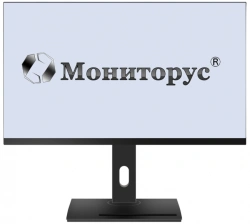 Liquid Crystal Monitor MONITORUS 2402/DVI/12DC HS2402