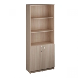 Office Two-Door Cabinet for Storage and Organization
