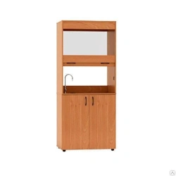 Edelwood Extraction Cabinet Model SHV for Offices and Institutions