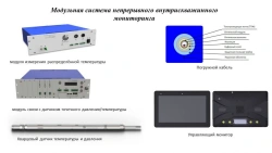 Continuous In-Well Monitoring Modular System
