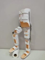 Lower Limb and Torso Orthosis for Rehabilitation
