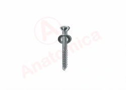 Bone Fixation Screw - Anatomical Design