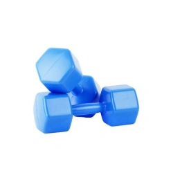 Plastic Dumbbells 1.1 kg with Filler