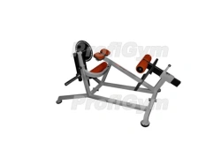 Professional Back and Abdominal Press Machine TD-0250-D