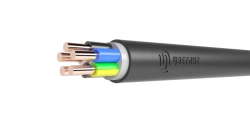 Fire-Resistant Power Cable with Polymer Insulation 660V PPGng(A)-NF 4x1.5